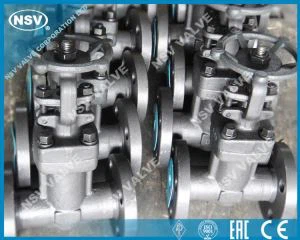 Miechy kute Globe Valve